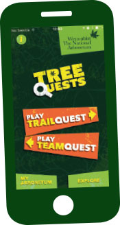 TreeQuests app graphic